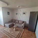 ванкови *